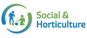 DorsetAbilitiesGroup_Social&Horticulture